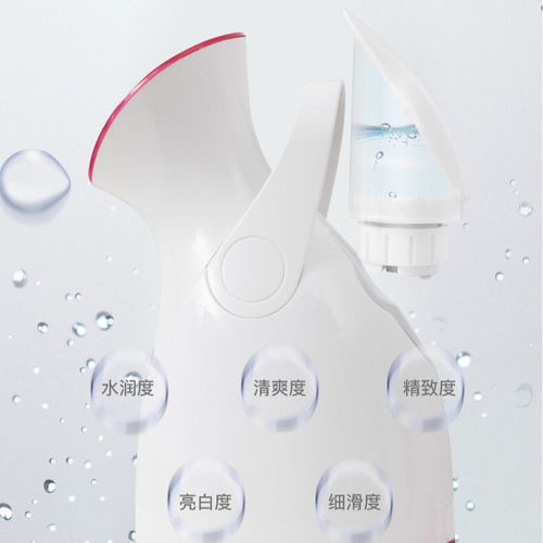 霧鎖臉龐，解語(yǔ)容顏的秘密武器\n——淺析現(xiàn)代熱噴蒸臉器的健康美容功效